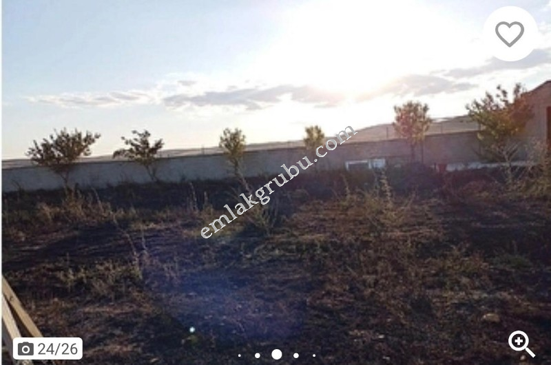 Satılık Besi &Ccedil;iftliği